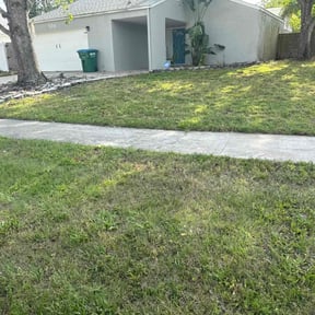 lawn care by Trip reviewed on March 2, 2024