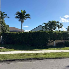 Bush Trimming by Midwest Grounds Co. reviewed on November 6, 2025