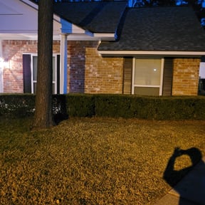 Bush Trimming by D&M Residential reviewed on August 20, 2025