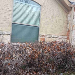 Bush Trimming by Andrews Landscaping reviewed on August 20, 2025