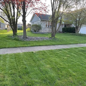 yard maintenance by Dabney's landscaping and property preservation llc reviewed on August 19, 2025