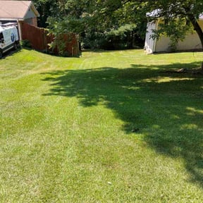 Lawn Treatment by  reviewed on November 20, 2025