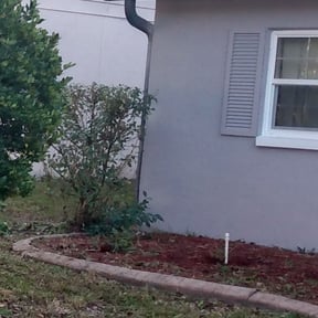 Bush Trimming by Just A Man and A Mower LLC reviewed on August 15, 2025