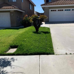 residential landscaping by Mark Cowper reviewed on August 20, 2025