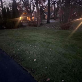 Leaf Removal by Otero's lawnmower reviewed on November 23, 2025