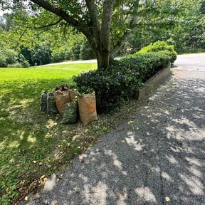 Bush Trimming by Smith and Rogers Lawn Care and Landscaping reviewed on November 22, 2025