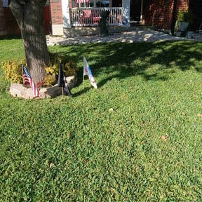 landscape maintenance by Simple Cutz reviewed on March 20, 2024