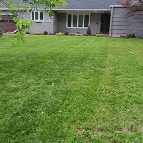landscaping services by Oakwood Landscaping reviewed on August 16, 2025