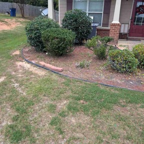 Bush Trimming by Mercer Mechanical reviewed on October 20, 2025