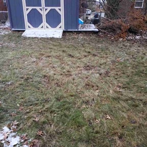 Leaf Removal by E&amp;K Landscaping reviewed on December 14, 2025