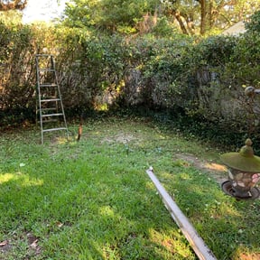 Bush Trimming by J.Rodriguez Tree Trimming & Lawn Care reviewed on August 17, 2025