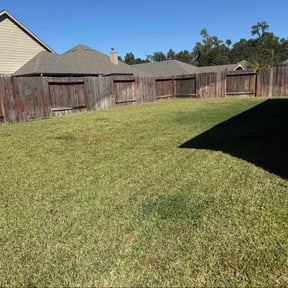 yard work by Pine Forest Lawn Care reviewed on October 22, 2025