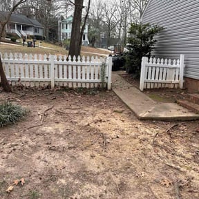 Leaf Removal by Nestorlawncare reviewed on September 2, 2026
