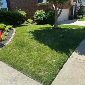 landscape maintenance by Top Notch Lawn & Landscaping, LLC reviewed on August 17, 2025