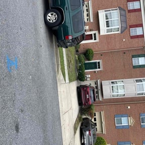 Bush Trimming by Arnold’s Landscaping reviewed on November 24, 2025