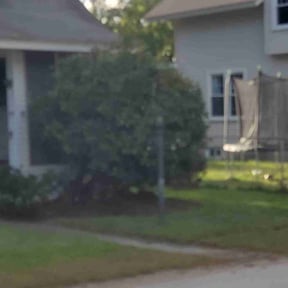 Bush Trimming by Bennett Lawn Maintenance reviewed on August 17, 2025