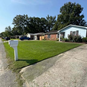 gardening service by All-In Lawncare reviewed on January 8, 2026