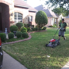 Bush Trimming by Texas Elite Pressure Washing reviewed on October 19, 2025