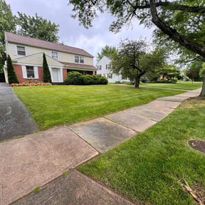 lawn care services by Ortiz landscape reviewed on May 12, 2025