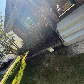 Bush Trimming by Fresh lawn care reviewed on May 30, 2026