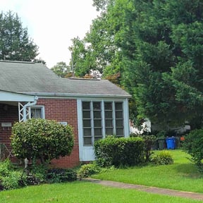 Bush Trimming by Jay&#039;s magnificent landscaping LLC. reviewed on October 19, 2025