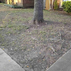 Leaf Removal by Gabriel Lawn Service &amp; more reviewed on January 1, 2026