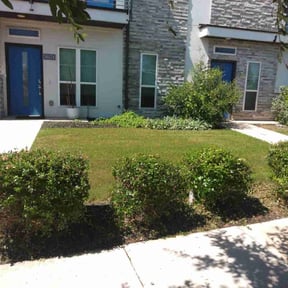Bush Trimming by Green coqui lawn services reviewed on August 14, 2025