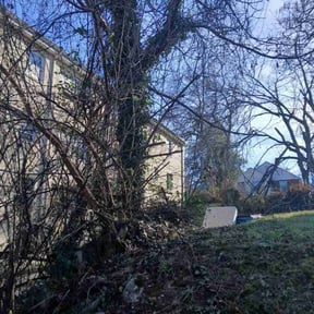 Bush Trimming by Taco Man Lawncare reviewed on November 28, 2025