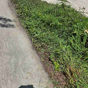Flower Bed Weeding by K.G.M SERVICES LLC. reviewed on July 12, 2026