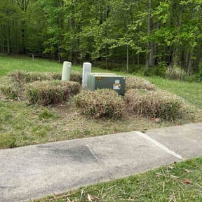 Bush Trimming by Zink Services reviewed on April 26, 2026