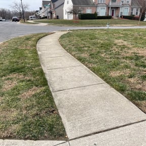 Leaf Removal by Crutchfield’s lawn care reviewed on September 20, 2025