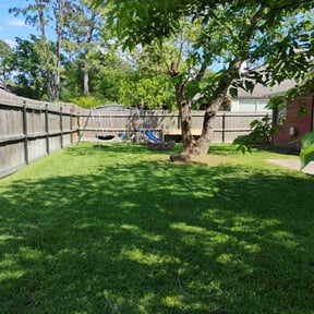 lawn care by 2 Leaf Landscape reviewed on October 20, 2024