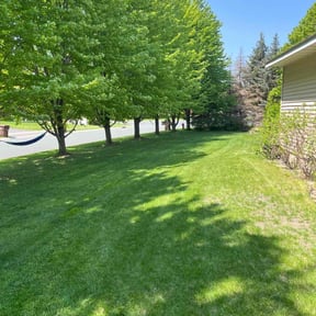 landscaping by Smack Down lawns and tractor services reviewed on November 18, 2025