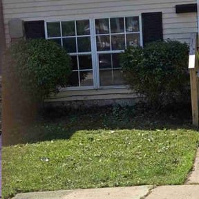 Bush Trimming by Veterans lawn services reviewed on October 23, 2025