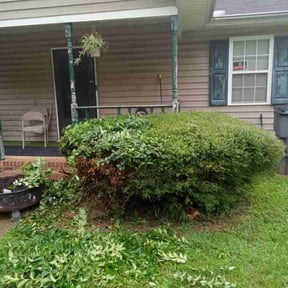 Bush Trimming by I.G.T. reviewed on May 26, 2023