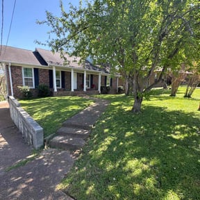 yard care by Lawn Junkie reviewed on August 16, 2025