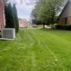 yard work by Sweat & Soil reviewed on August 16, 2025