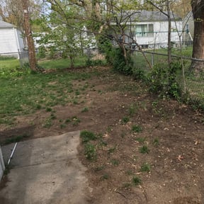 Leaf Removal by Angel lascaping reviewed on August 19, 2025