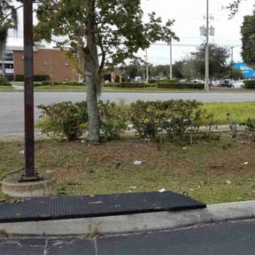 Bush Trimming by Hickmon Homes LLC reviewed on August 18, 2025
