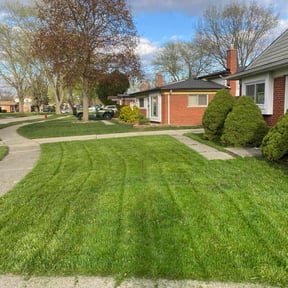 turf care by Pristine Properties LHS reviewed on May 10, 2024