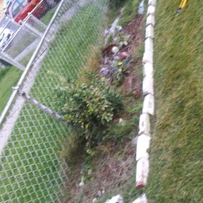 Bush Trimming by Willie Lawn Care and More LLC reviewed on December 15, 2023