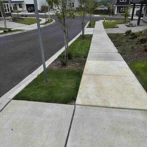 yard maintenance by Vazquez Exterior Maintenance reviewed on August 15, 2025