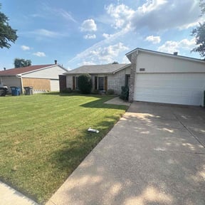 Bush Trimming by Greenlawnz landscaping reviewed on November 21, 2025