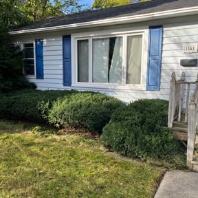 Bush Trimming by BBMP reviewed on November 24, 2025