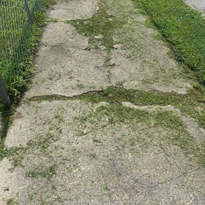 Flower Bed Weeding by Top coat painting &amp; home solutions llc reviewed on July 21, 2026