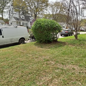 Bush Trimming by SosaLawnCare reviewed on August 18, 2025