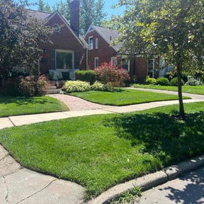 yard service by TwinEagleLandscaping reviewed on November 22, 2025