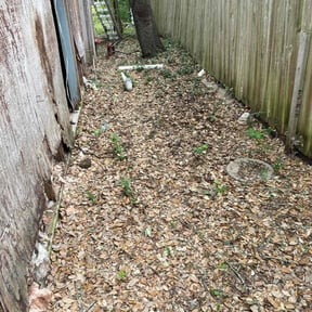 Leaf Removal by Peña lawn service  reviewed on September 13, 2025