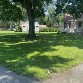 gardening service by Troy's Lawn Care reviewed on November 24, 2025