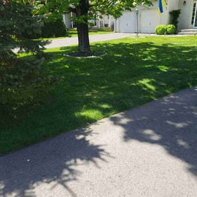 landscape maintenance by HopeScape reviewed on April 19, 2024